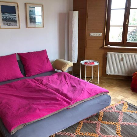 Ferienwohnung Am Donauradwanderweg Riedlingen Ngoại thất bức ảnh