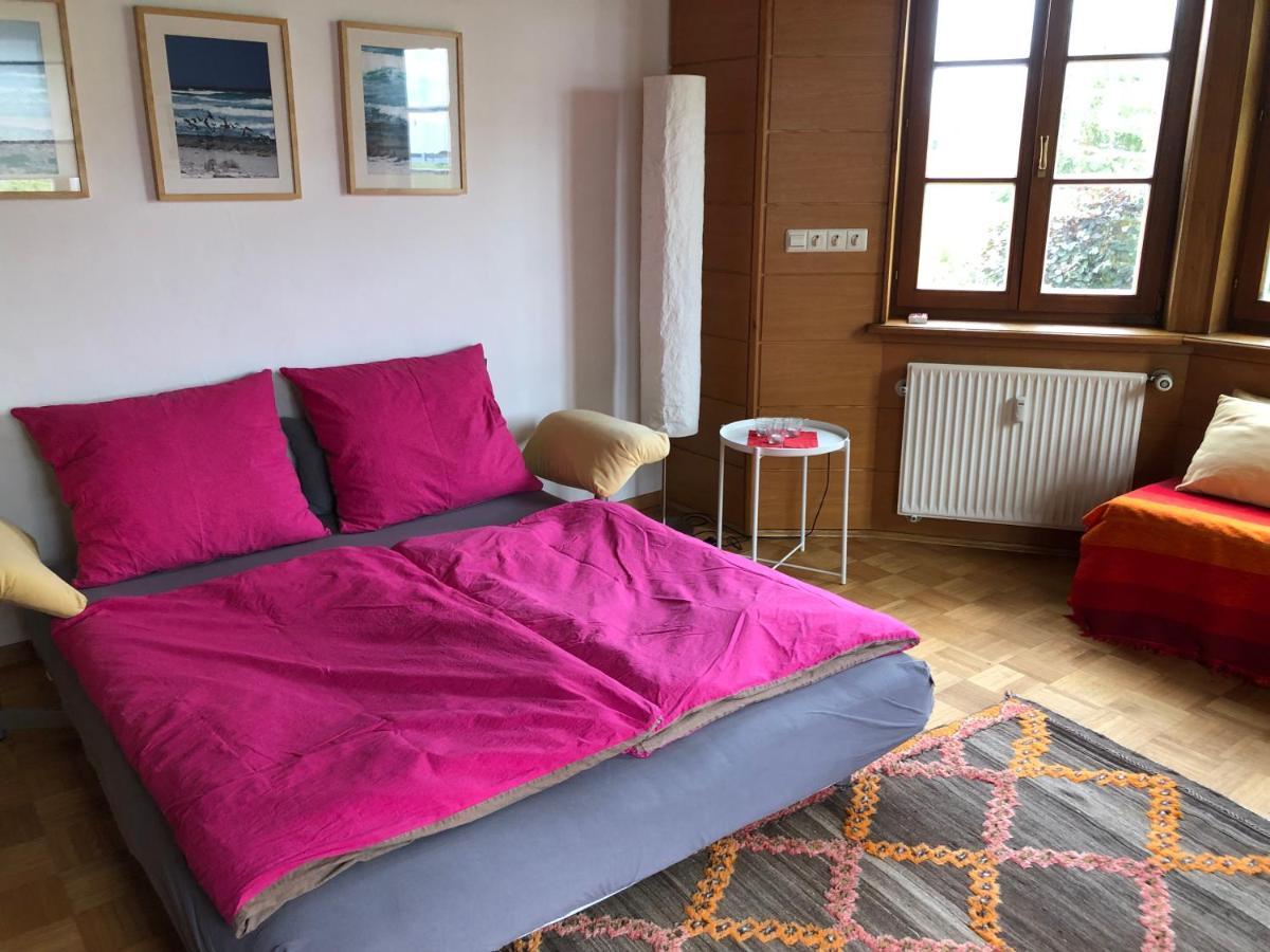 Ferienwohnung Am Donauradwanderweg Riedlingen Ngoại thất bức ảnh